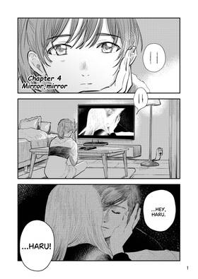 Chapter 4 Mirror,mirror