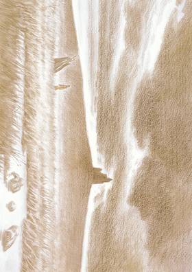 Read Berserk  23 Page 5 in English