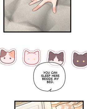 Read PURRFECT LOVER  7 Page 3 in English