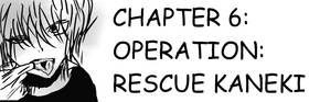 OPERATION RESCUE KANEKI