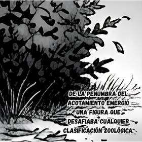 Read Jorge Hernández "El Hombre Invencible"  3 Page 10 in Spanish