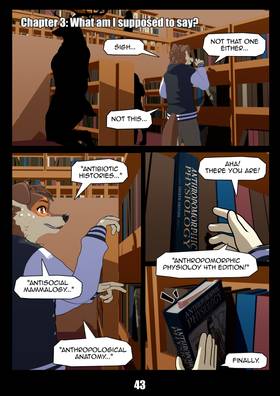 Chapter 3