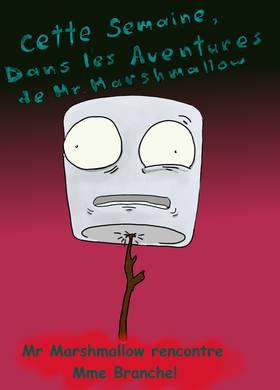 Read Les Aventures de Mr Marshmallow  2 Page 1 in French