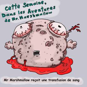 Read Les Aventures de Mr Marshmallow  3 Page 1 in French