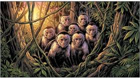 Read The ShapeSifter - Issue 2 - "The Living Jungle"  1 Page 3 in English