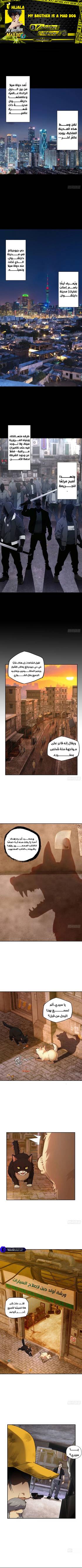 Read My Brother Is A Mad Dog  2 Page 2 in Arabic