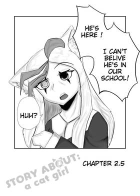 Chapter 2.5