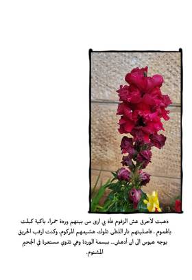 Read Shin jenny.  1 Page 7 in Arabic