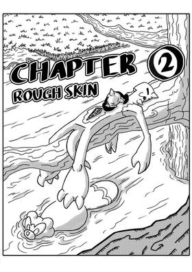 Chapter 2: Rough Skin