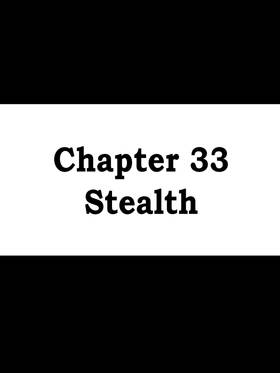 Chapter 33