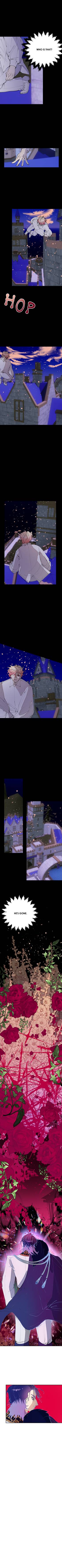 Read Red Casket Angel  15 Page 5 in English