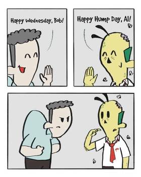 hump day 