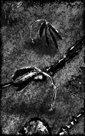 Read A Tale of Light and Desolation  1 Page 3 in English