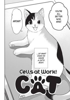 Read Cells at Work! Cat  1 Page 8 in English