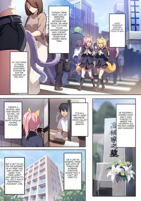 Read Erotic Manga Series Collections  2 Page 2 in English