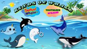 Read WHALE WORLD: Meet the Giants of the Sea!  1 Page 3 in English