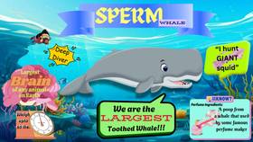 Read WHALE WORLD: Meet the Giants of the Sea!  1 Page 7 in English