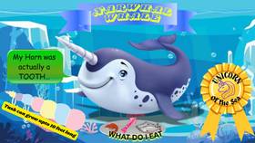 Read WHALE WORLD: Meet the Giants of the Sea!  1 Page 8 in English