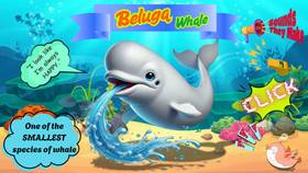 Read WHALE WORLD: Meet the Giants of the Sea!  1 Page 9 in English