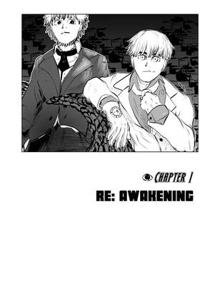 Chapter 1 - Re: Awakening
