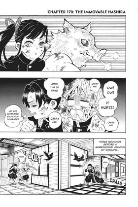 Read Demon Slayer  20 Page 7 in English
