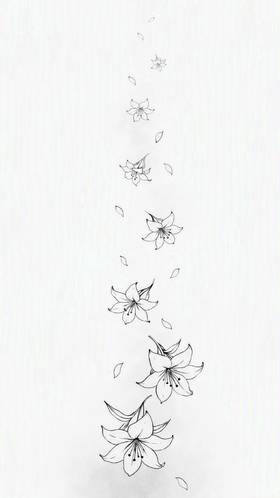 The Lily Between Us 
