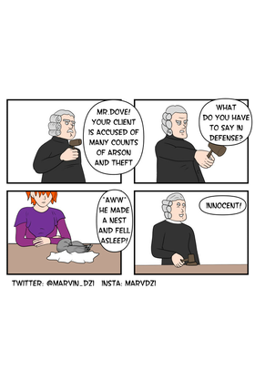 Read captain pigeon  130 Page 1 in English