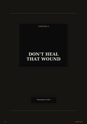 Chapter 2 - Don't Heal That Wound