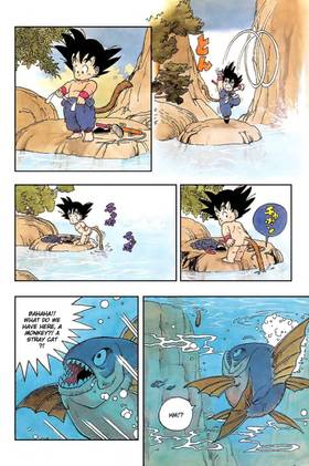 Read Dragon Ball   1 Page 10 in English