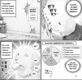 Read A pet's care to love of a couple   1 Page 2 in English