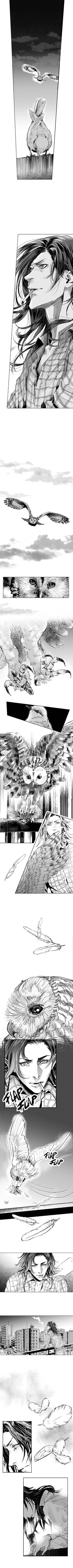 Read Bad Luck Angel  5 Page 1 in English