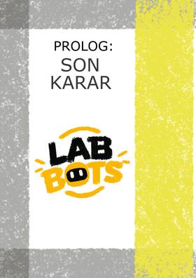Read LAB BOTS  1 Page 3 in Turkish