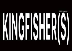 Read KINGFISHER(S)  1 Page 4 in English