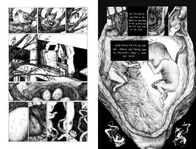 Read IN FETU  1 Page 4 in English