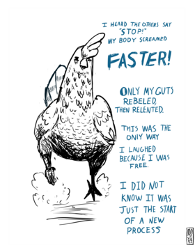 Read Why Did The Chicken Cross The Road?  1 Page 6 in English