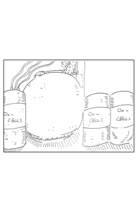 Read Crusader of The Mind  10 Page 5 in English