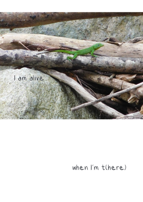 Read Viajera V1  1 Page 3 in Spanish