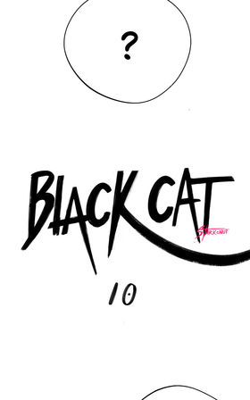Read Black Cat  13 Page 5 in English