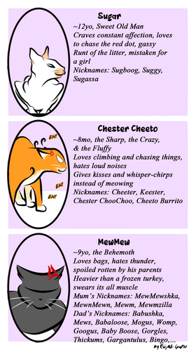 Read Caturpurry Tails  1 Page 2 in English