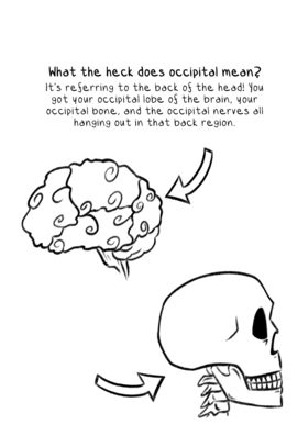 Read Occipital Neuralgia: What is it? - a Q&A zine about occipital neuralgia  1 Page 3 in English