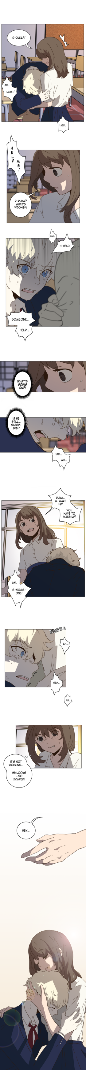 Read SHELTER  42 Page 3 in English