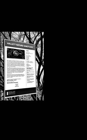Read The Ravenblack Court  2 Page 9 in English