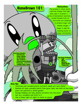Read ToonBuds Guide to Everything  1 Page 5 in English