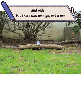 Read Paper Ninja Scrolls  17 Page 2 in English