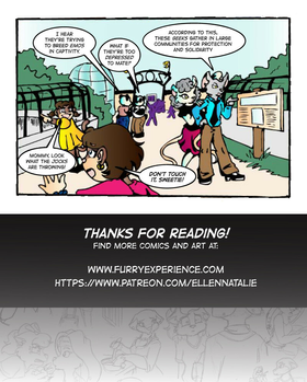 Read Furry Experience  6 Page 3 in English