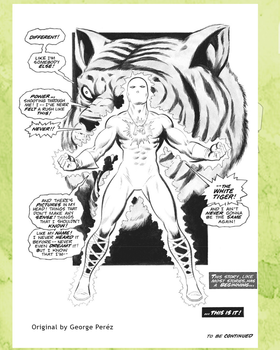Read White Tiger Fan Comic  12 Page 5 in English
