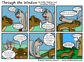 Read Through the Window  1 Page 2 in English