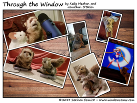 Read Through the Window  7 Page 2 in English