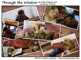 Read Through the Window  7 Page 3 in English