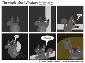 Read Through the Window  27 Page 1 in English